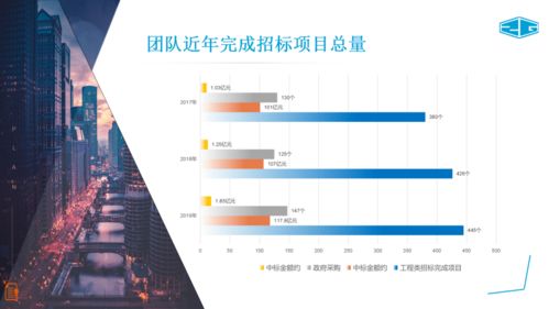 中冠咨詢 全面招標(biāo)代理、政府采購(gòu)與信息技術(shù)咨詢服務(wù)介紹