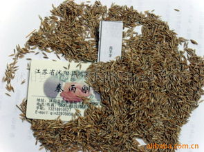 沭陽縣新河鎮新河街鴻翔花卉苗木場花卉種子與種苗產品列表及種植指南