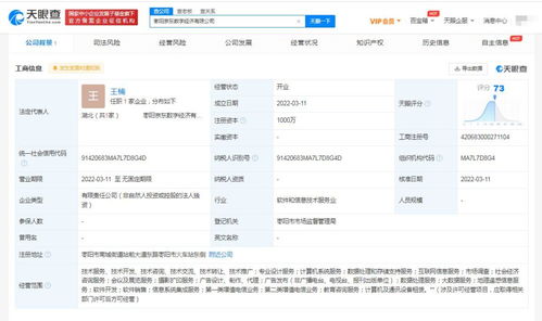 信息系統(tǒng)集成服務(wù) 數(shù)字化時代的核心驅(qū)動力